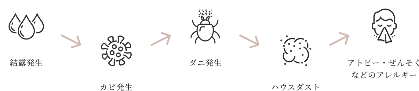 結露とカビ・ダニ、アレルギーの関係